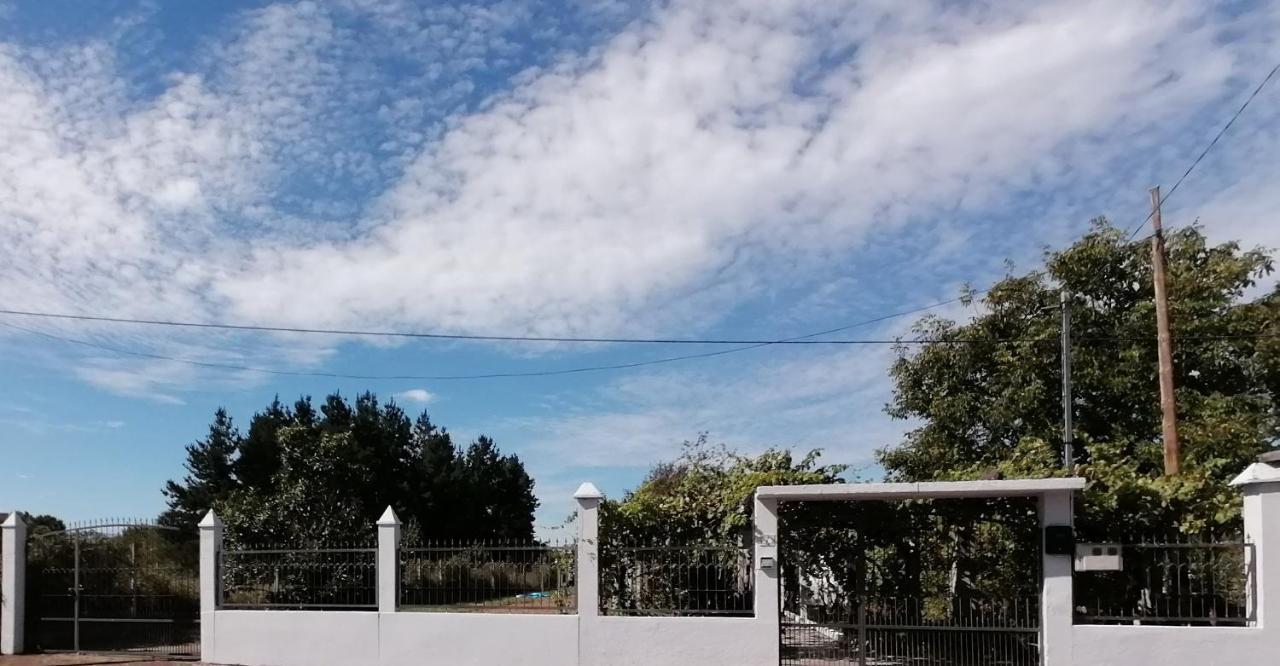 Morin Grey casa en el corazón de la Ribeira Sacra Vila Monforte De Lemos Exterior foto