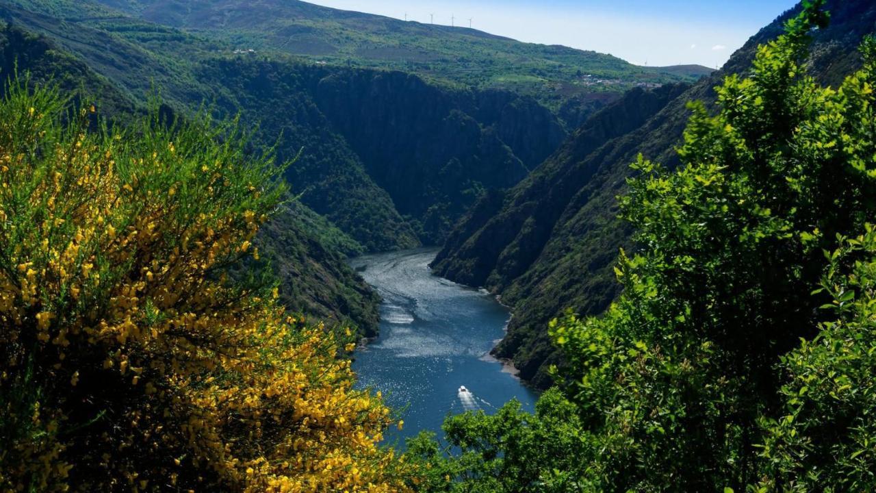 Morin Grey casa en el corazón de la Ribeira Sacra Vila Monforte De Lemos Exterior foto