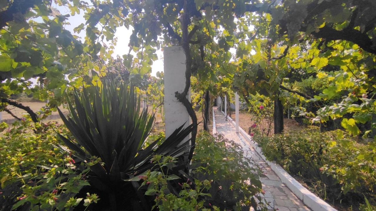 Morin Grey casa en el corazón de la Ribeira Sacra Vila Monforte De Lemos Exterior foto