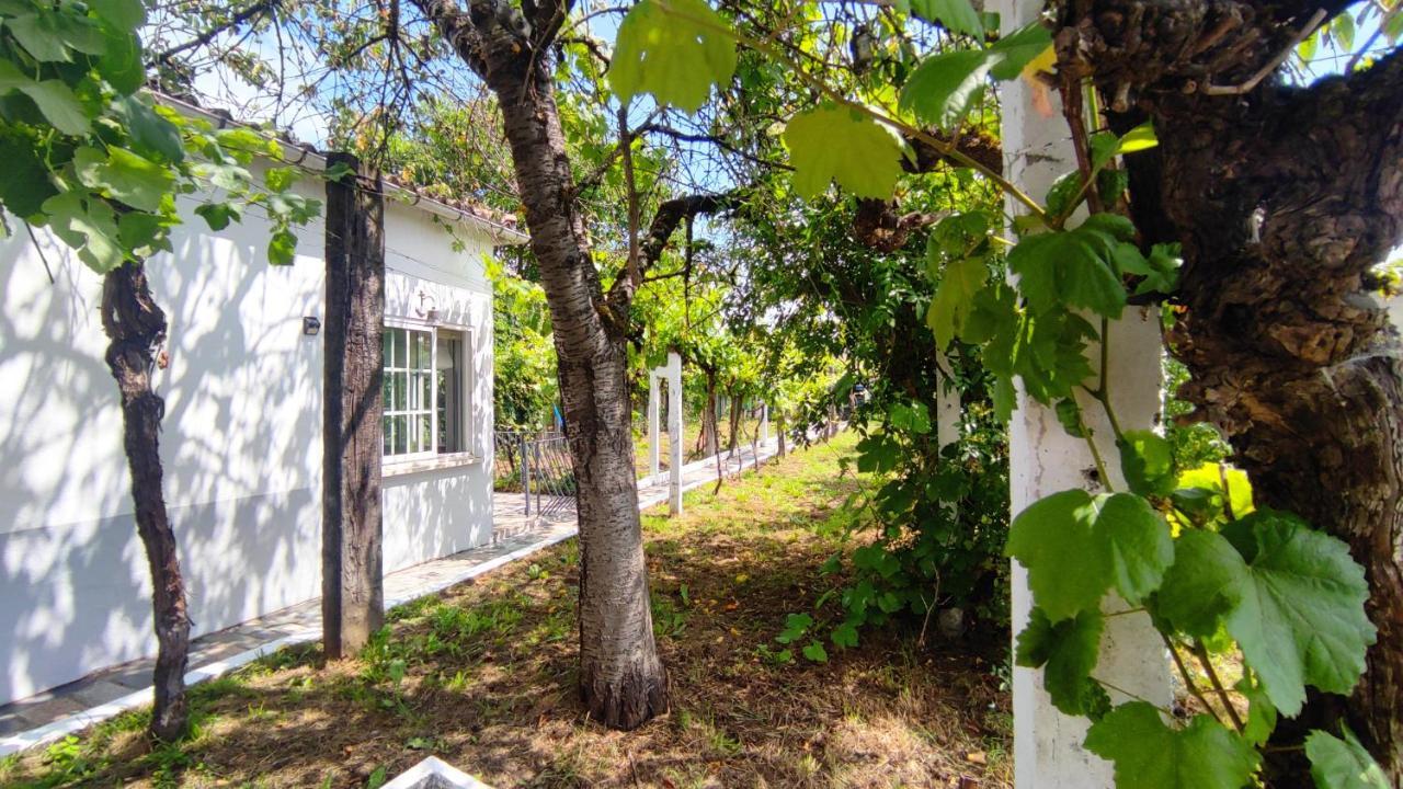 Morin Grey casa en el corazón de la Ribeira Sacra Vila Monforte De Lemos Exterior foto