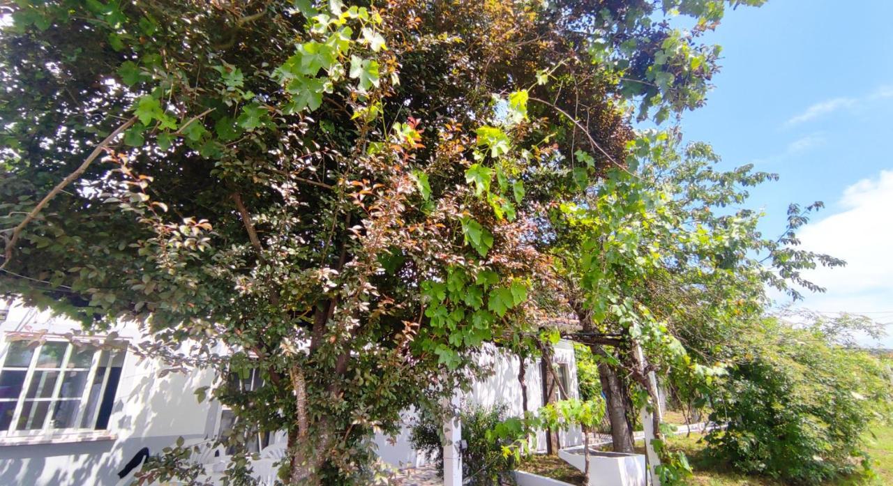 Morin Grey casa en el corazón de la Ribeira Sacra Vila Monforte De Lemos Exterior foto